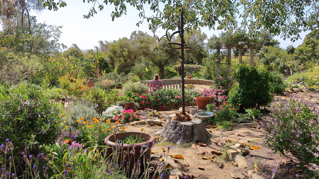 Uncover the Magic of San Diego Botanic Garden: Where Nature Meets Serenity