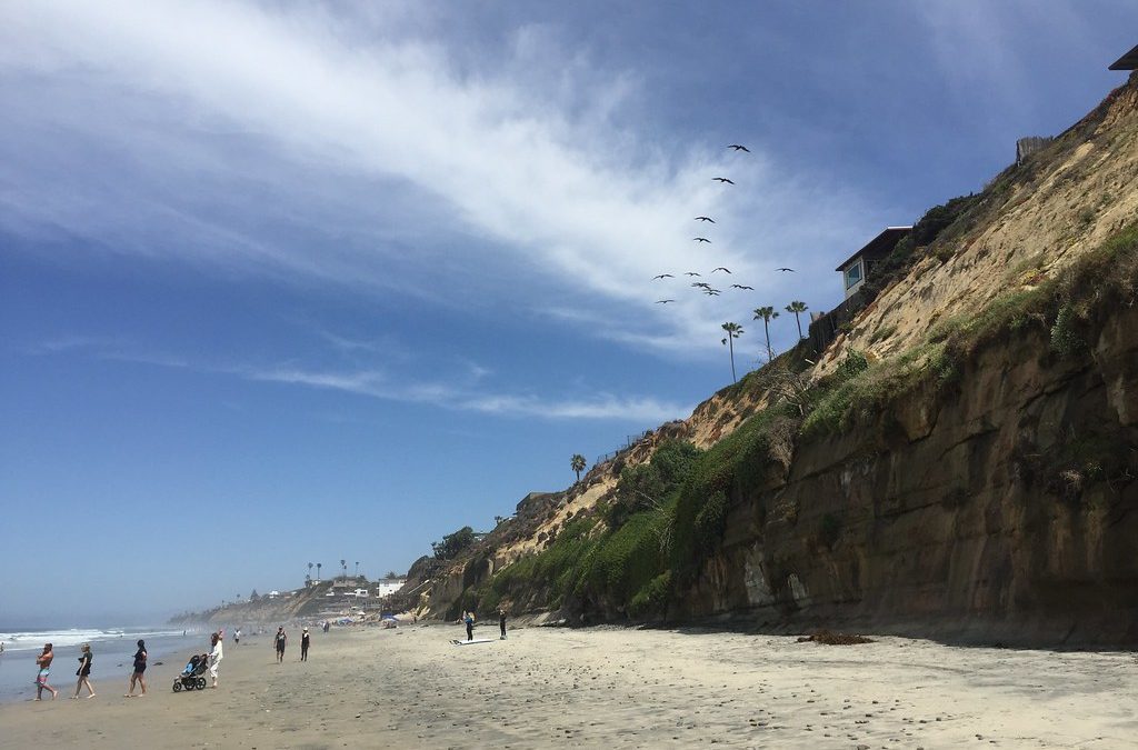 Walking Wild Encinitas: A Guide to Coastal and Canyon Trails