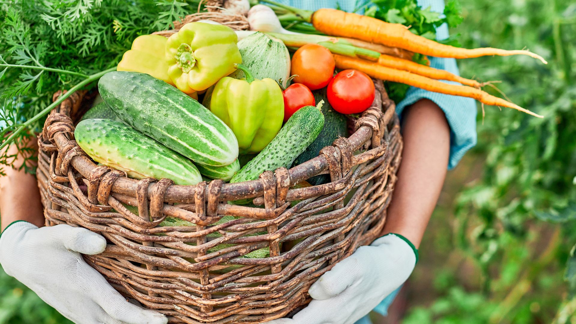 Explore the bounty of Encinitas' farmers markets, where fresh produce meets community spirit.