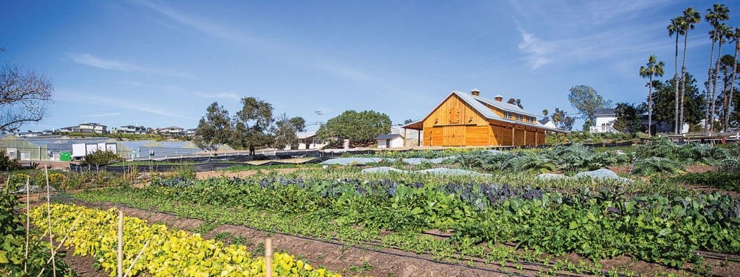 Coastal Roots Farm: A shining example of accessibility and community-driven sustainability in Encinitas.