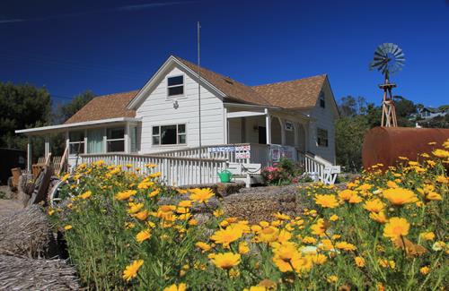 Exploring Historical Life and Local Flora at the San Dieguito Heritage Museum