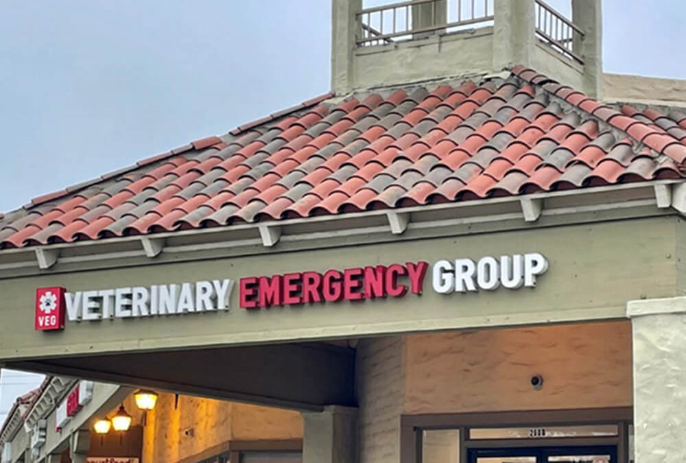 24/7 Emergency Care for Pets: Discover Veterinary Emergency Group in Encinitas