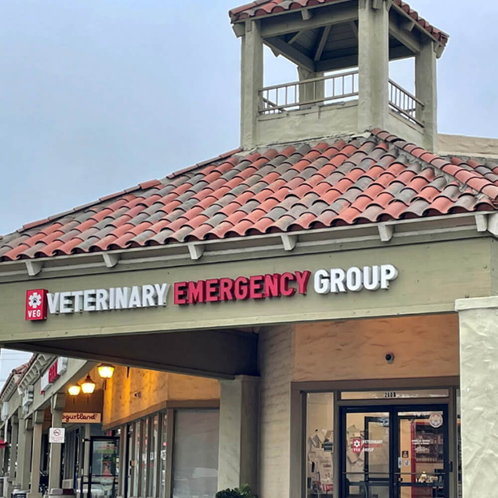 Animal Hospital in Encinitas, California