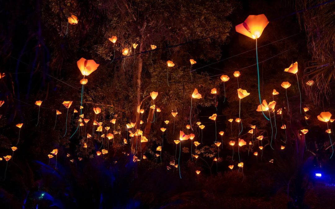 San Diego Lightscape: A Nighttime Spectacle at the Botanic Garden