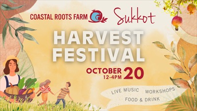 Sukkot Harvest Festival 2024: A Family-Friendly Celebration in Encinitas